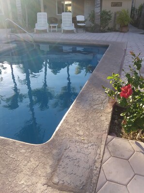 Relax by the pool with lounge chairs and a table nearby, surrounded by lush greenery.