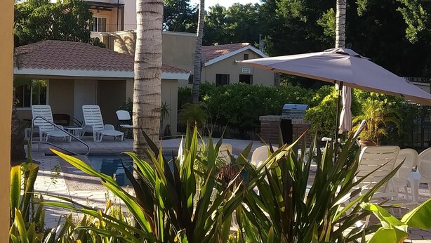 A pool area with lounge chairs and umbrellas, surrounded by palm trees and greenery.