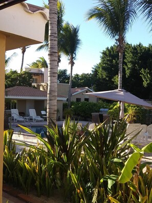 Zona de piscina con sillas de descanso y sombrillas, rodeada de palmeras y follaje.