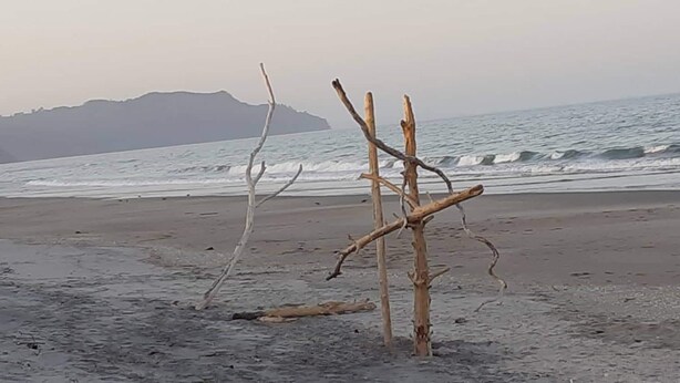 Une plage parsemée de morceaux de bois flotté, avec une montagne en arrière-plan.