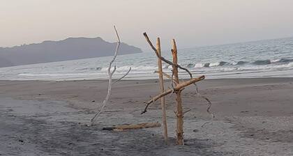 Beach Belle, 1960’s Bach