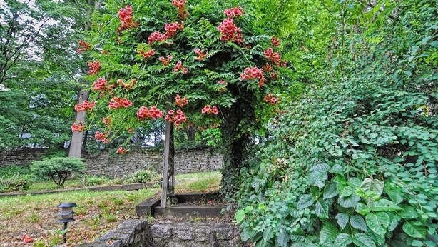 Uma escadaria de pedra leva a um arco de madeira com flores vermelhas.