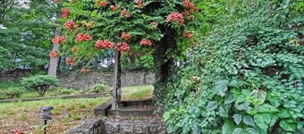 Natalie House - Boston