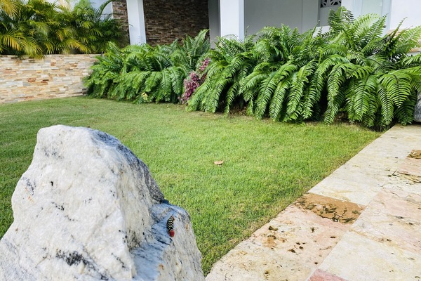 Parco della struttura