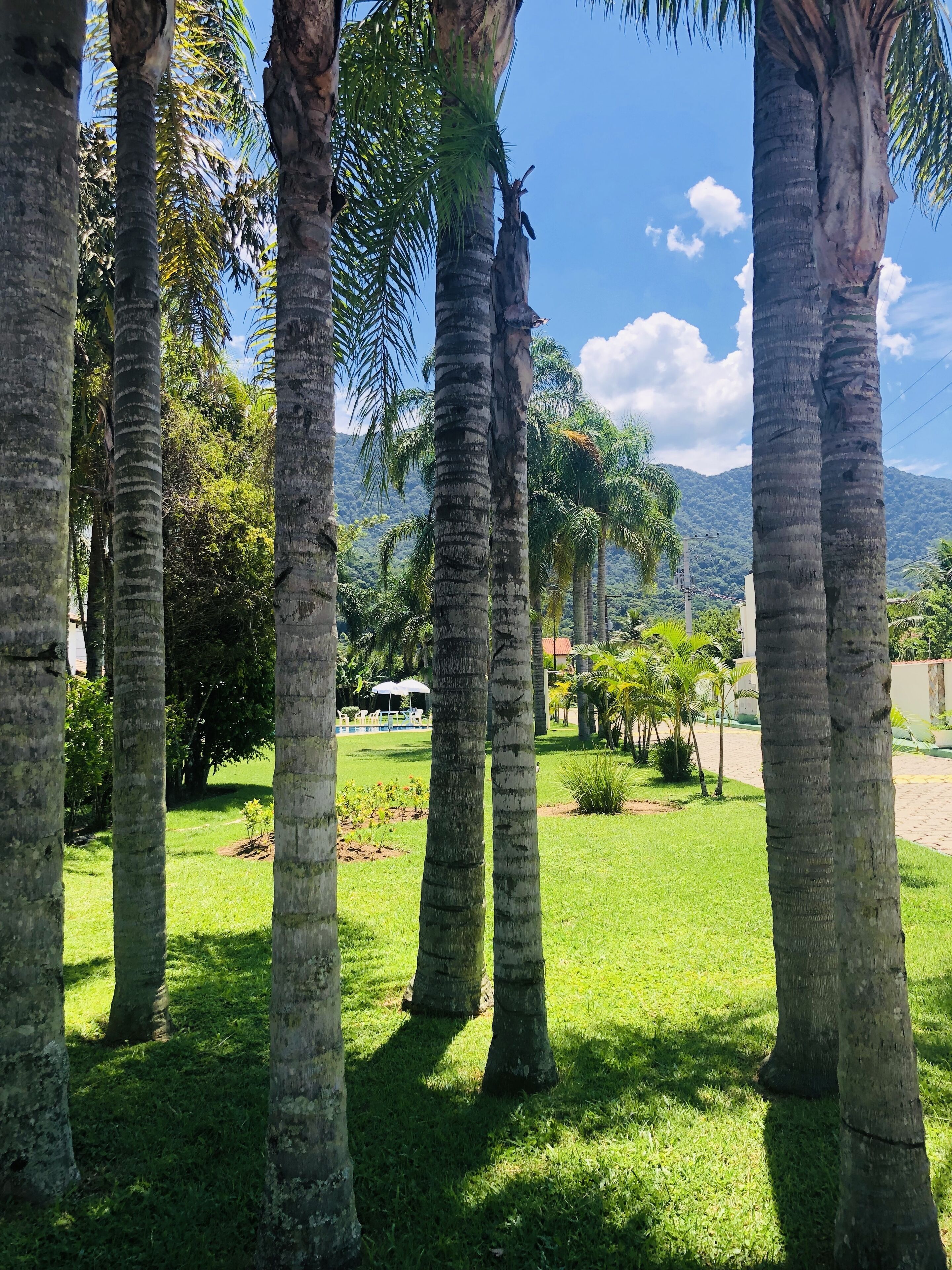 Parco della struttura
