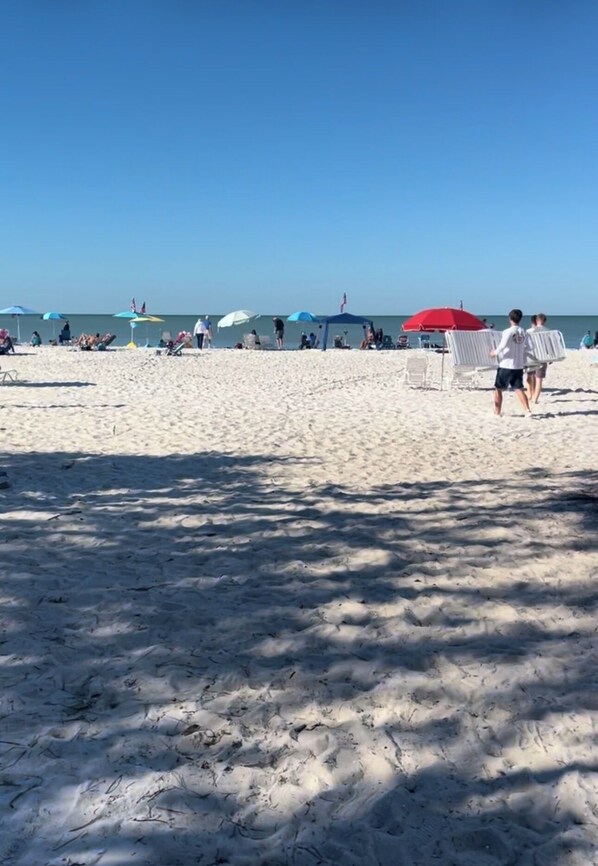 Playa en los alrededores, camastros y toallas de playa 