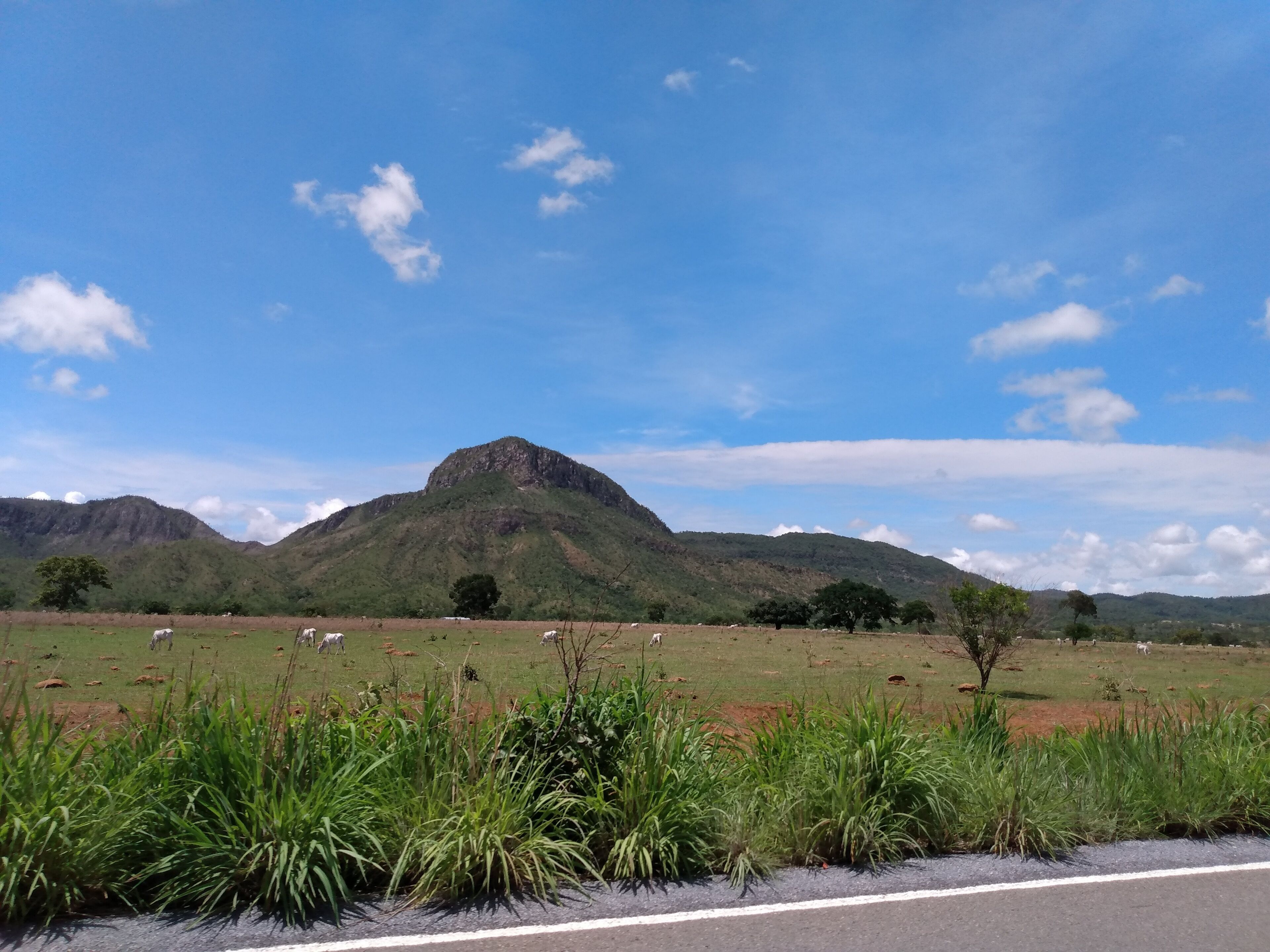 A rural landscape with a mountain in the background, a road in the foreground, and grazing animals.