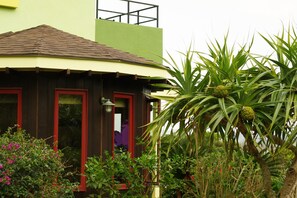 Detall de l'exterior