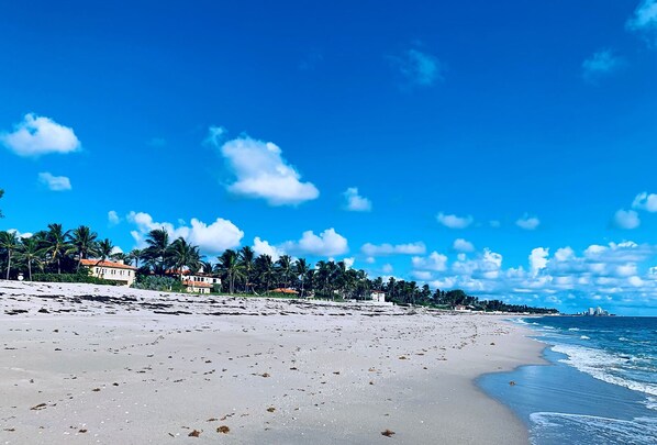 Playa en los alrededores, camastros y toallas de playa 