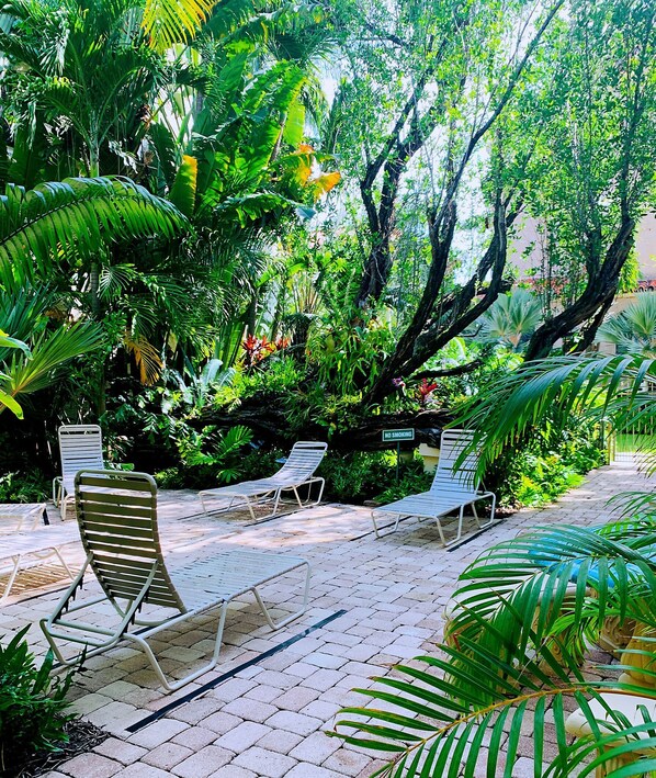 A garden area with lounge chairs and a paved walkway surrounded by lush greenery.
