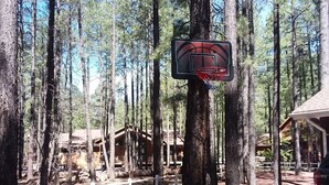 Een basketbalveld in een bebost gebied, met een houten hutje op de achtergrond.