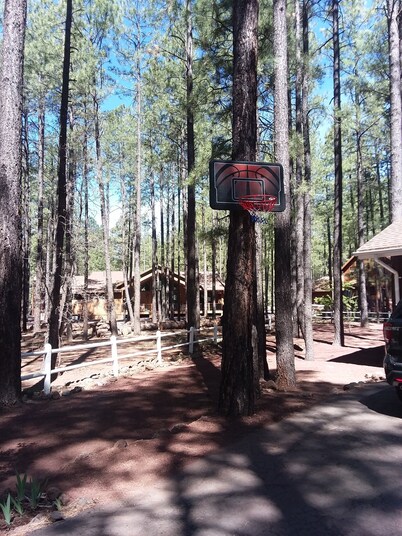 Cozy & Comfortable Cabin in The Pinetop White Mountains - LOW CLEANING FEE