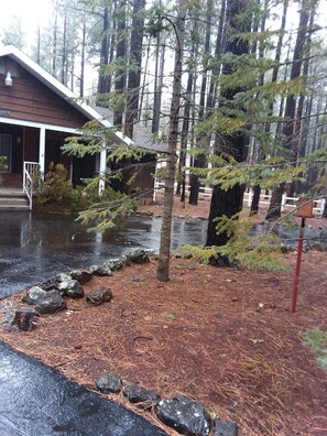 Exterior - Cozy & Comfortable Cabin in The Pinetop White Mountains - LONG TERM SPECIAL  (Pinetop)