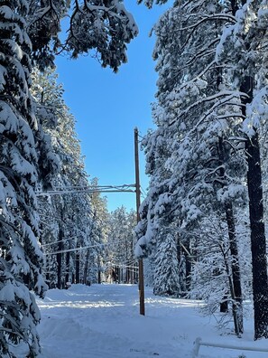 A snowy forest scene with tall trees and a clear blue sky. - Cozy & Comfortable Cabin in The Pinetop White Mountains - LONG TERM SPECIAL (Pinetop)