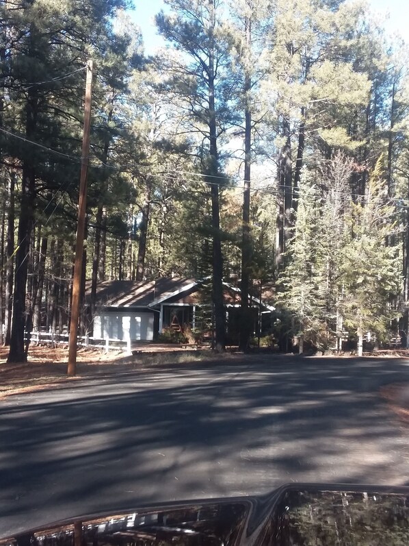 A residential area with a house surrounded by tall pine trees. There is a paved road in front of the house. - Cozy & Comfortable Cabin in The Pinetop White Mountains - LONG TERM SPECIAL (Pinetop)