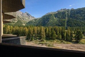 Property grounds - Résidence Grand Roc - Campanules 314, Argentière (Chamonix), France (Argentière (Chamonix))