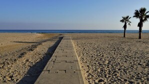 Una playa con un paseo pavimentado que conduce al océano, palmeras y cielos despejados.