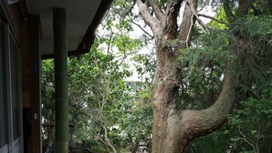 外观细节