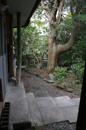 Stroll through the serene garden, surrounded by lush greenery and a majestic tree.