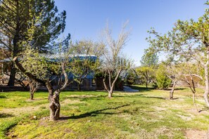 Property grounds - The Orchard near Zion, KING Beds and Hot Tub! (La Verkin)