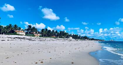 đPalm Beach Island Condo-Hotel RoomâąWalk to Beachâąđ