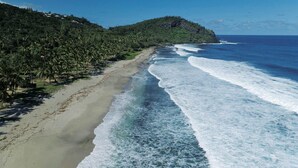 A beach with a sandy shore, palm trees, and a mountain in the background.