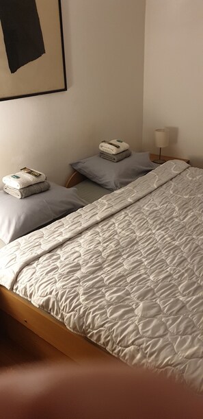 Double Room | Desk, soundproofing, iron/ironing board, free WiFi