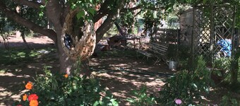 Lovely Cozy Little Gallowaylodge Country Cottage and Rail trail Retreat