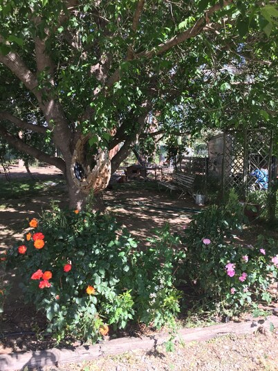 Lovely Cosy  Little Gallowaylodge  Country  Cottage and Rail trail Retreat