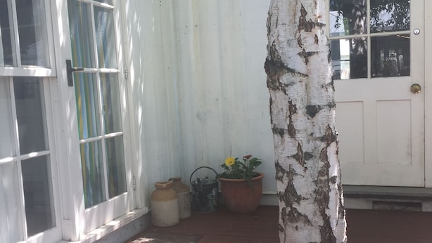 Una terraza de madera con una puerta y ventanas blancas, rodeada por una cerca blanca, y un árbol en el centro.