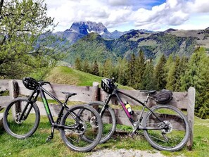 A mountain bike leaning against a wooden fence with a scenic mountain view in the background.