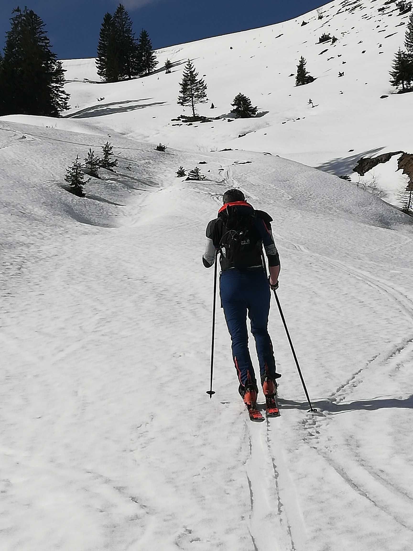 Une personne pratiquant le ski de fond sur une pente enneigée, avec des arbres et un ciel dégagé.