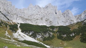 Unclassified image, 5 of 60, button