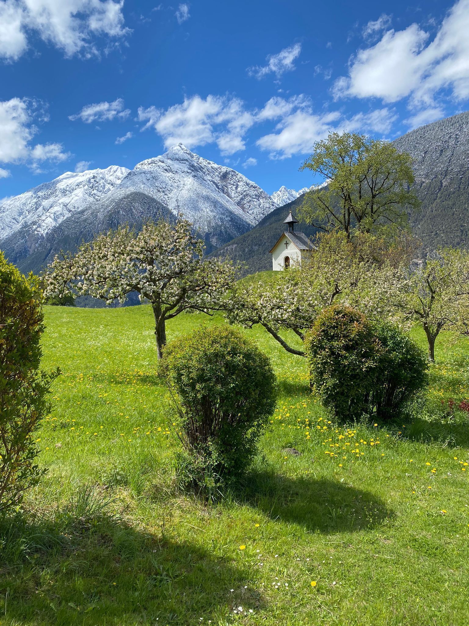 Áreas de la propiedad