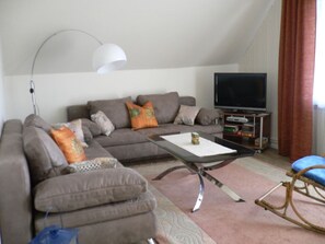 Televisión de pantalla plana, reproductor de DVD y libros 