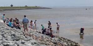 Beach nearby, sun loungers