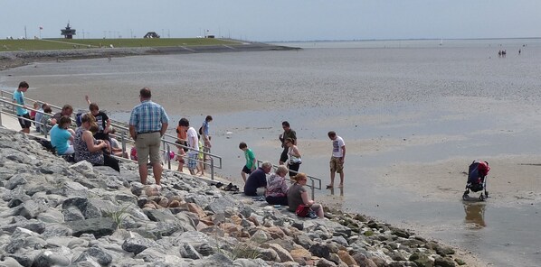 Playa en los alrededores y camastros 