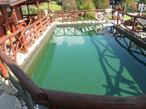 Outdoor pool - Schneewittchenhütte- Holzblockbohlen Holiday house with fireplace and sauna in the Vogtland (Mühlental)