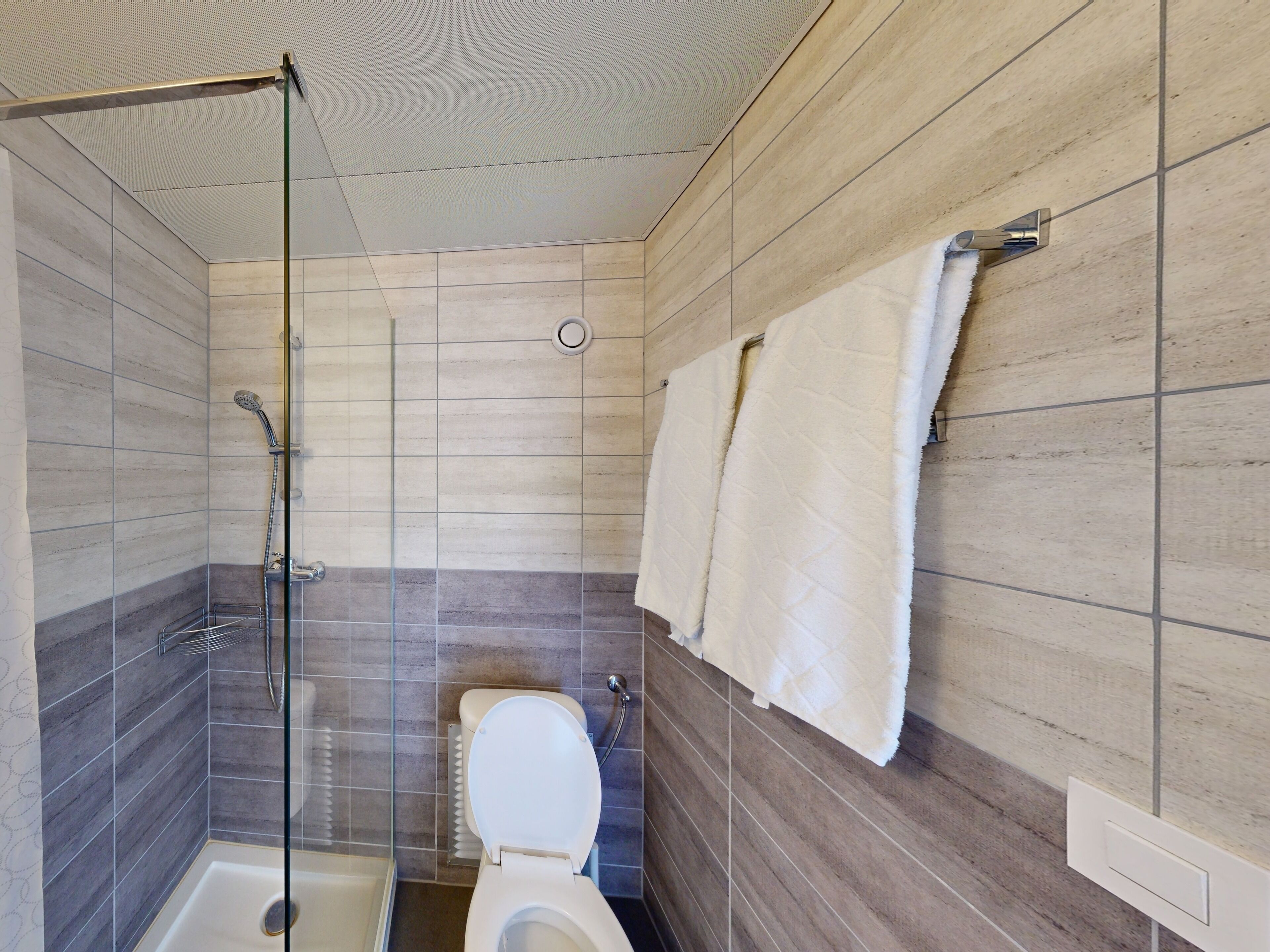 A modern bathroom with a glass shower enclosure, a toilet, and a towel rack.