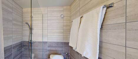 A modern bathroom with a glass shower enclosure, a toilet, and a towel rack.