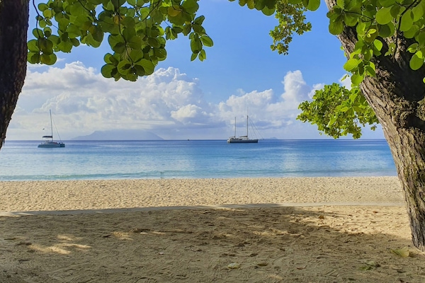 Pantai di sekitar, pasir putih, kursi berjemur, dan handuk pantai