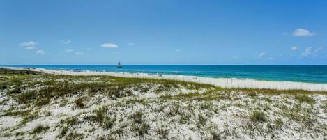 A beach with white sand and sparse vegetation, a clear blue sky, and calm ocean waters.