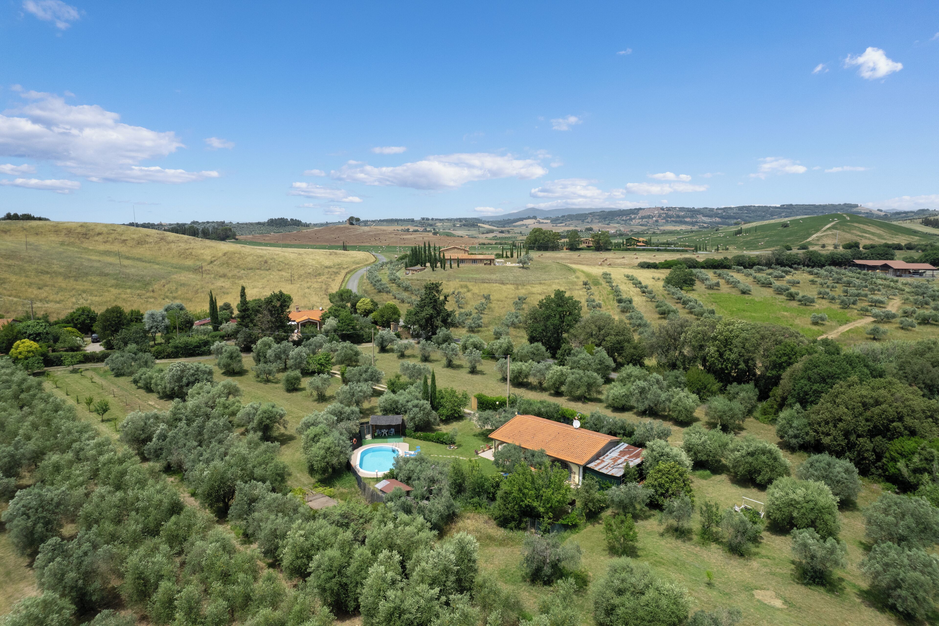 An aerial view of a countryside property with olive groves, a swimming pool, and a small house with a tiled roof.