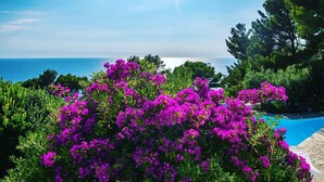 En pool omgivet af frodigt grønt og blomstrende lilla blomster, med et klart havudsigt i baggrunden.