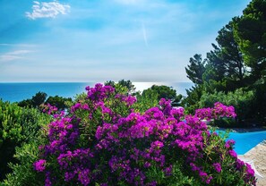 Terrace/patio - Il Carrubo Capri (Anacapri)