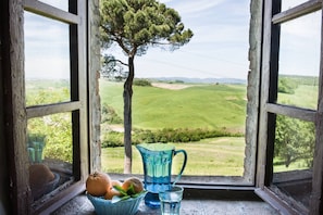View from property - Villa e Fattoria di Radi (Monteroni d'Arbia)