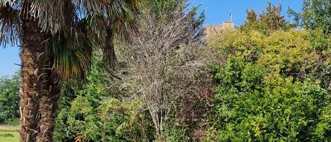 Piscina stagionale all'aperto, ombrelloni da piscina