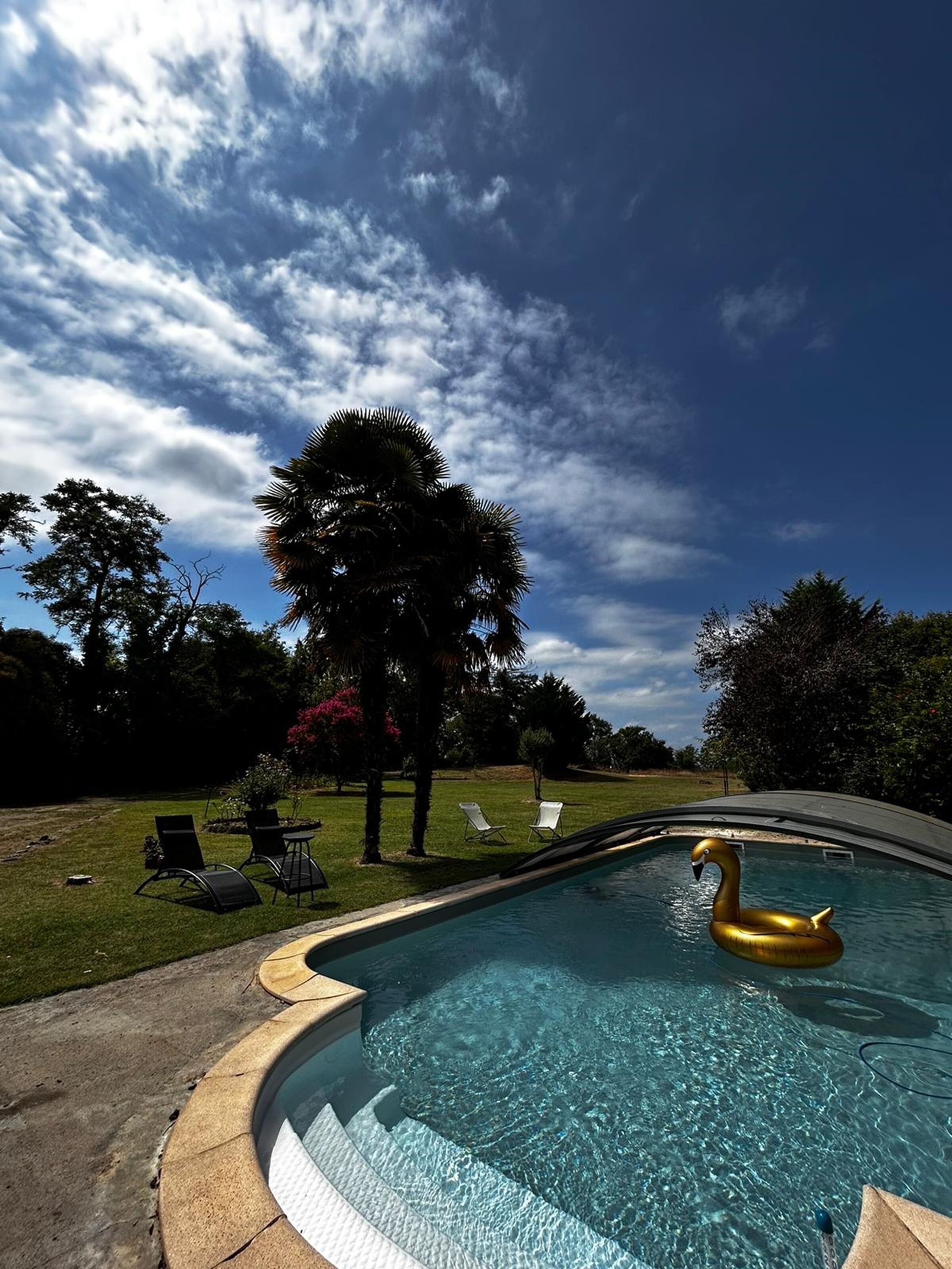 Una piscina con un flotador de cisne dorado, rodeada de césped y árboles, bajo un cielo parcialmente nublado.