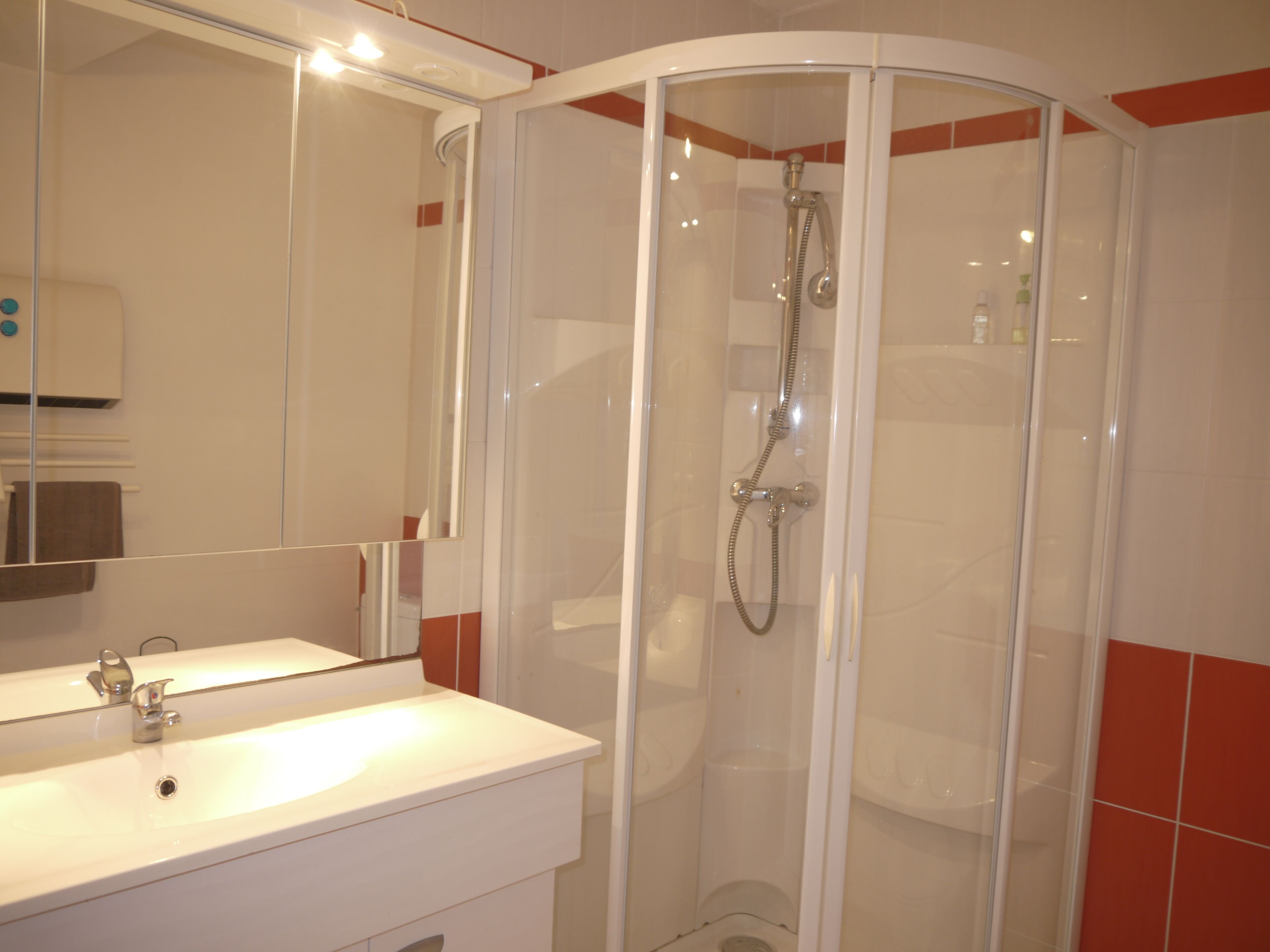 A modern bathroom with a glass-enclosed shower, a white sink, and a mirror.