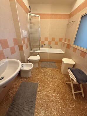 Combined shower/tub, hair dryer, bidet, towels